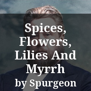 Spices, Flowers, Lilies And Myrrh