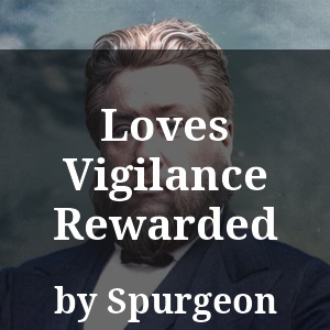 Loves Vigilance Rewarded