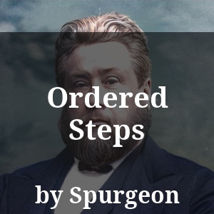 Ordered Steps