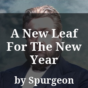 A New Leaf For The New Year