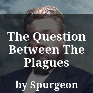 The Question Between The Plagues