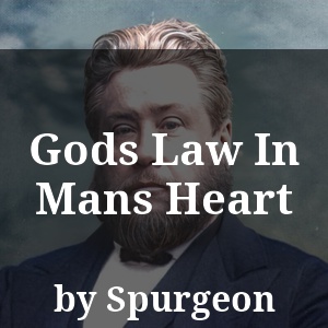 Gods Law In Mans Heart