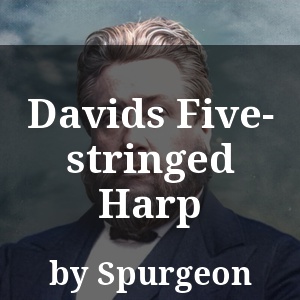 Davids Five-stringed Harp