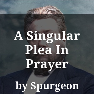 A Singular Plea In Prayer