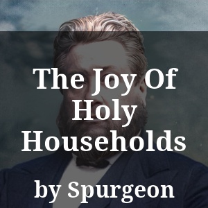 The Joy Of Holy Households