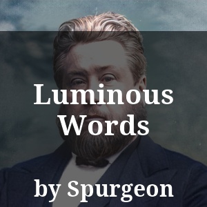 Luminous Words