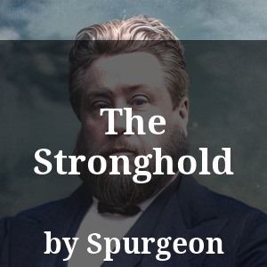 The Stronghold