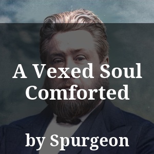 A Vexed Soul Comforted