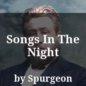 Songs In The Night