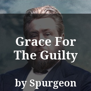 Grace For The Guilty