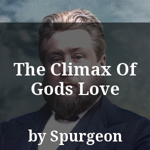 The Climax Of Gods Love