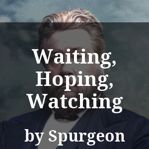 Waiting, Hoping, Watching