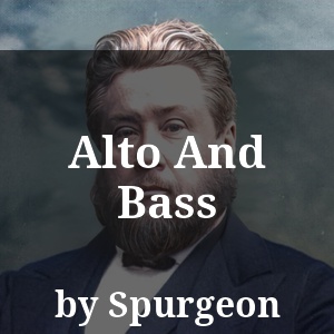 Alto And Bass