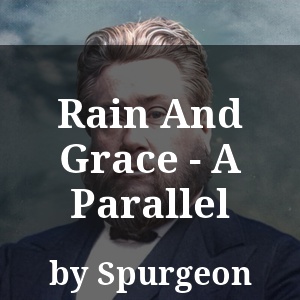 Rain And Grace - A Parallel