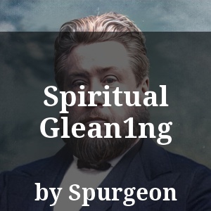 Spiritual Glean1ng