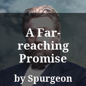 A Far-reaching Promise