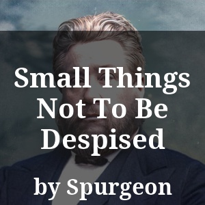 Small Things Not To Be Despised