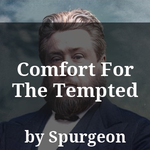 Comfort For The Tempted