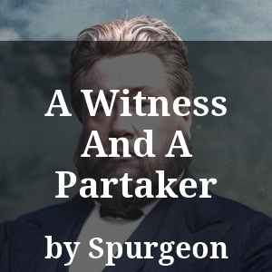 A Witness And A Partaker