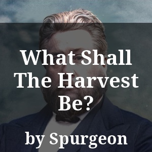 What Shall The Harvest Be?