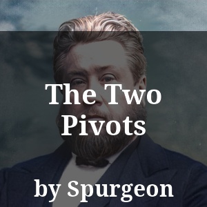 The Two Pivots