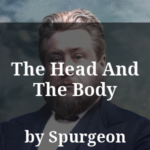 The Head And The Body