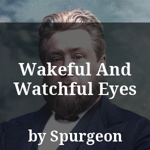 Wakeful And Watchful Eyes