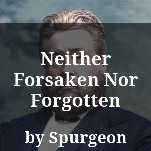 Neither Forsaken Nor Forgotten