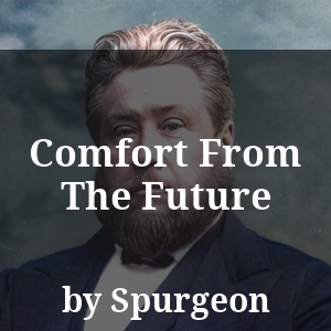 Comfort From The Future