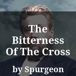 The Bitterness Of The Cross