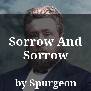 Sorrow And Sorrow