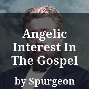 Angelic Interest In The Gospel