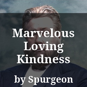 Marvelous Loving Kindness