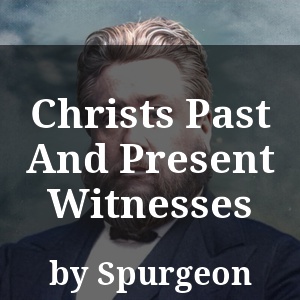 Christs Past And Present Witnesses