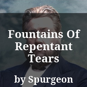 Fountains Of Repentant Tears