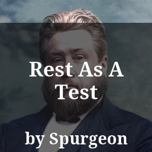 Rest As A Test