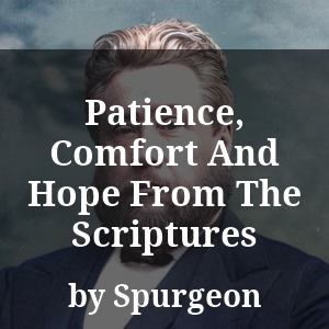 Patience, Comfort And Hope From The Scriptures