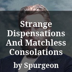 Strange Dispensations And Matchless Consolations