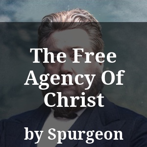 The Free Agency Of Christ