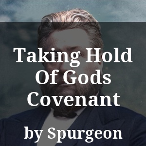 Taking Hold Of Gods Covenant