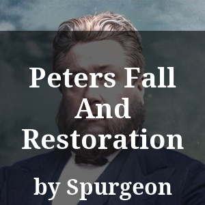 Peters Fall And Restoration