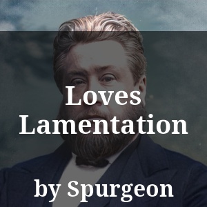 Loves Lamentation