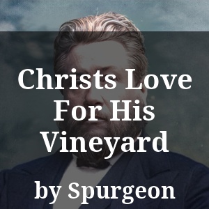 Christs Love For His Vineyard