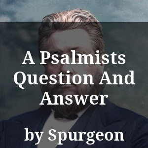 A Psalmists Question And Answer