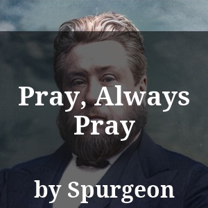 Pray, Always Pray