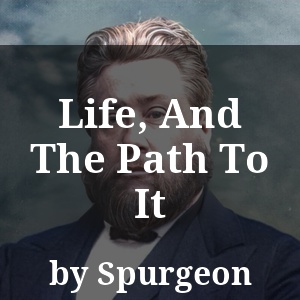 Life, And The Path To It