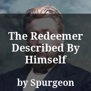 The Redeemer Described By Himself