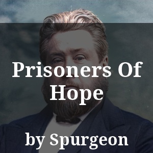 Prisoners Of Hope