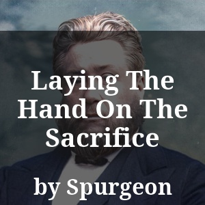 Laying The Hand On The Sacrifice