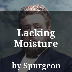 Lacking Moisture